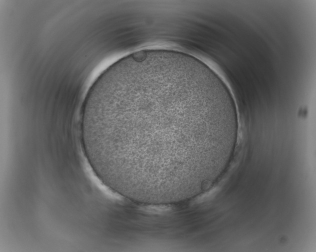 X0000113561053200910091410