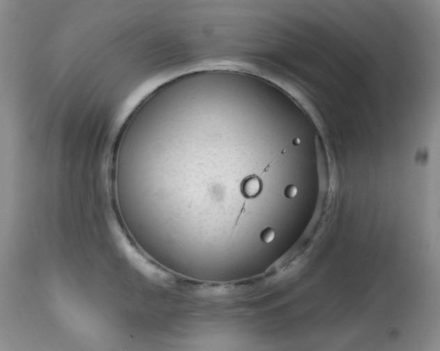 X0000113561054200910091410