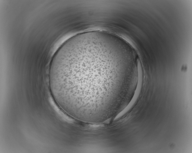 X0000113561055200910091410