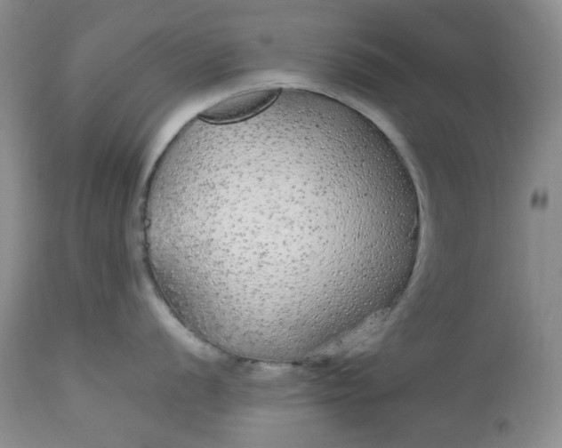 X0000113561056200910091410