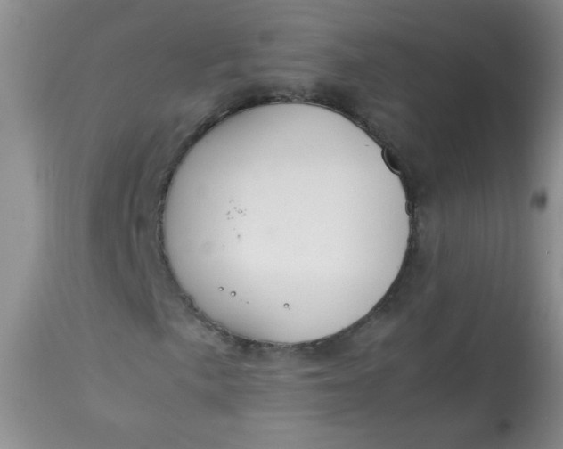 X0000113561057200910091410