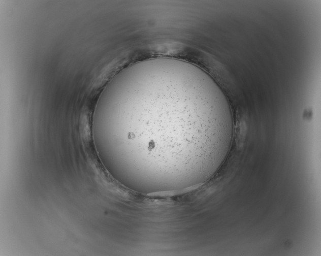 X0000113561058200910091410