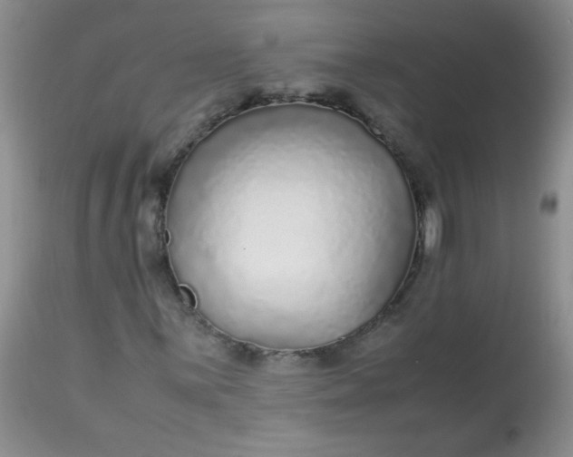 X0000113561059200910091410