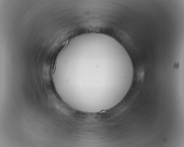 X0000113561060200910091410