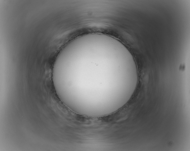 X0000113561061200910091410