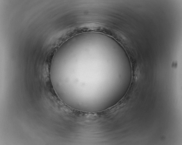 X0000113561062200910091409