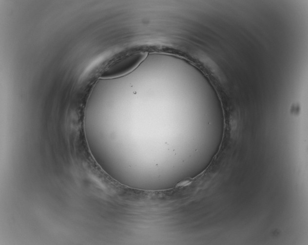 X0000113561064200910091409