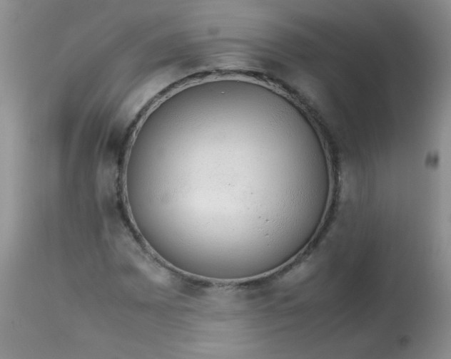 X0000113561065200910091409