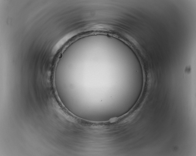 X0000113561066200910091409