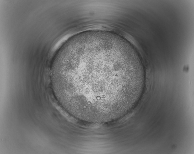 X0000113561067200910091409