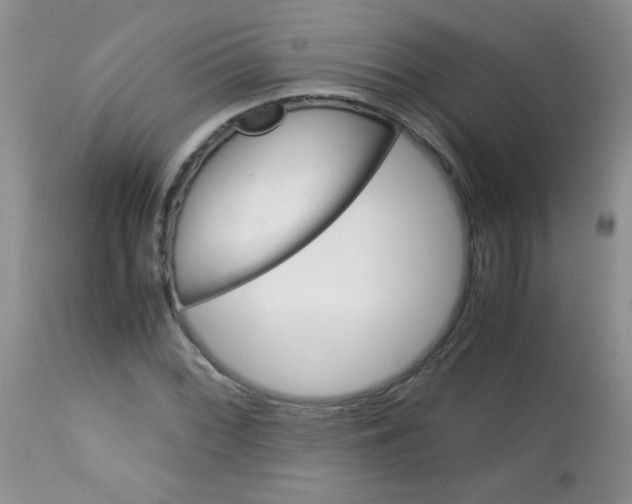 X0000113561068200910091409