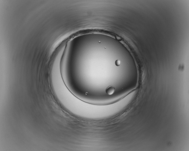 X0000113561069200910091409