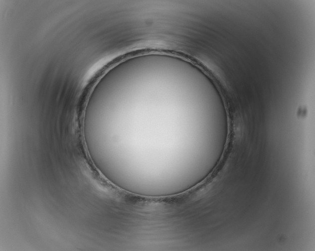 X0000113561070200910091409