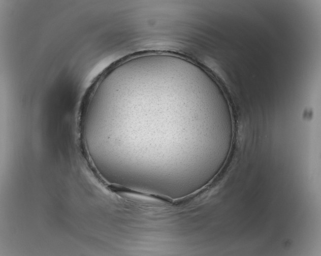 X0000113561071200910091409