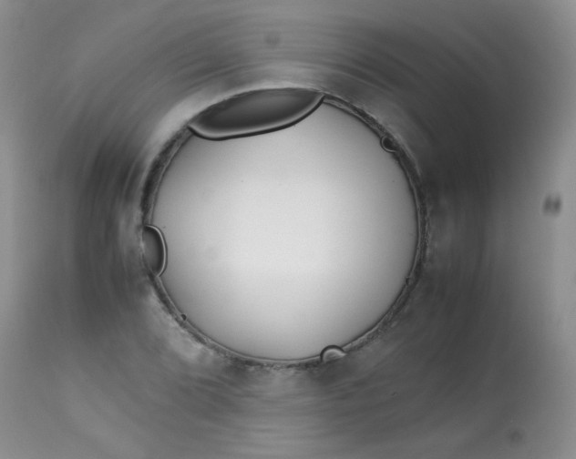 X0000113561072200910091409