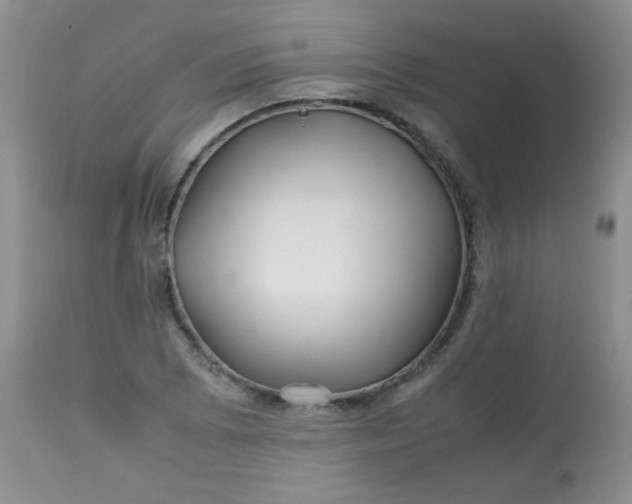 X0000113561073200910091409