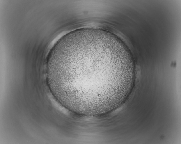 X0000113561075200910091409