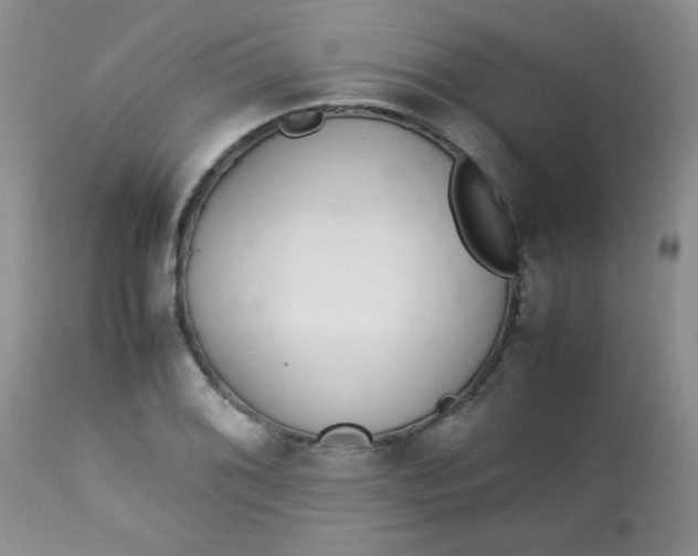 X0000113561076200910091409