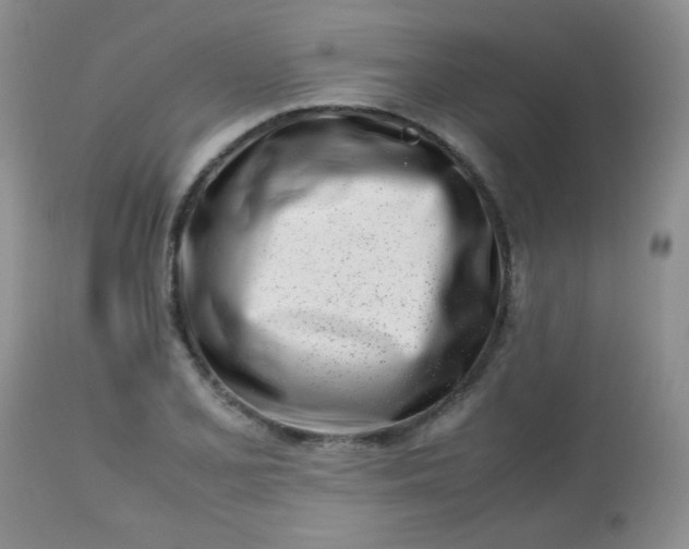 X0000113561077200910091409