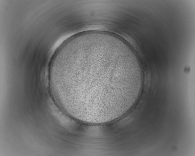 X0000113561078200910091409