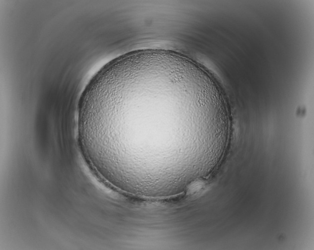 X0000113561079200910091409