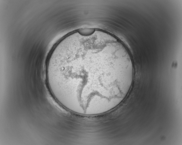 X0000113561080200910091409