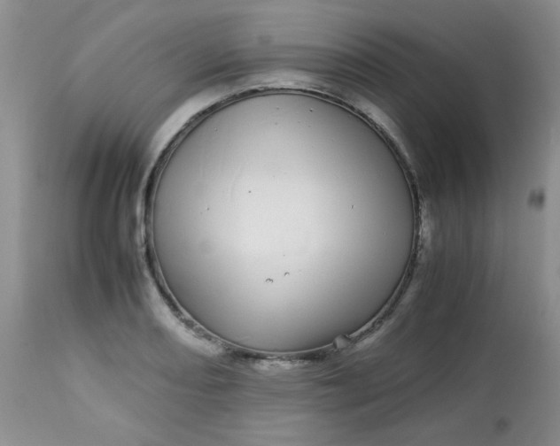 X0000113561082200910091409