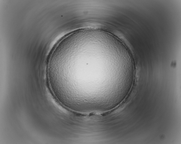 X0000113561083200910091409