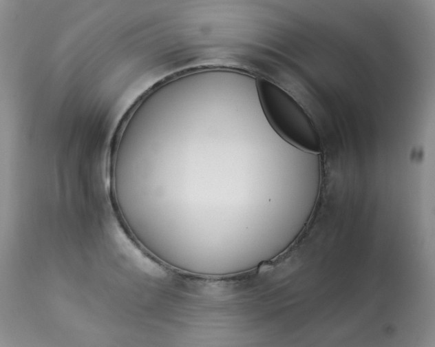 X0000113561084200910091409