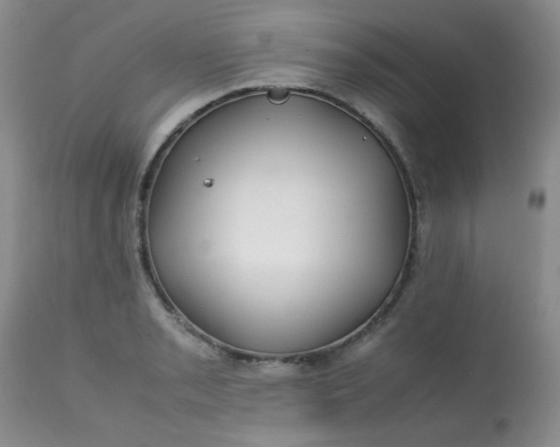 X0000113561085200910091409