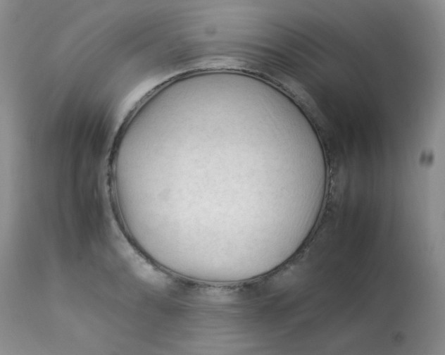 X0000113561086200910091409