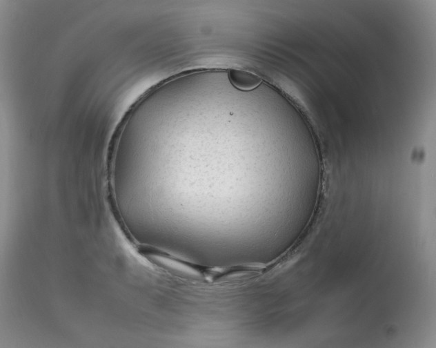 X0000113561087200910091409