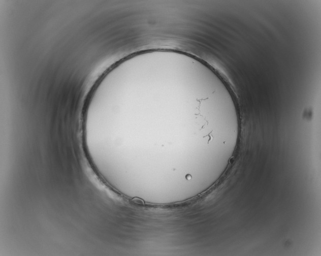 X0000113561088200910091409