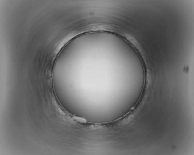 X0000113561089200910091409