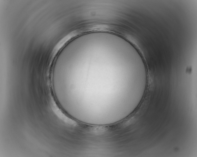 X0000113561090200910091409