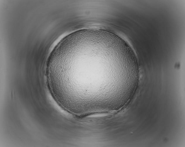 X0000113561091200910091409