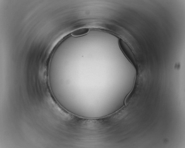 X0000113561092200910091409