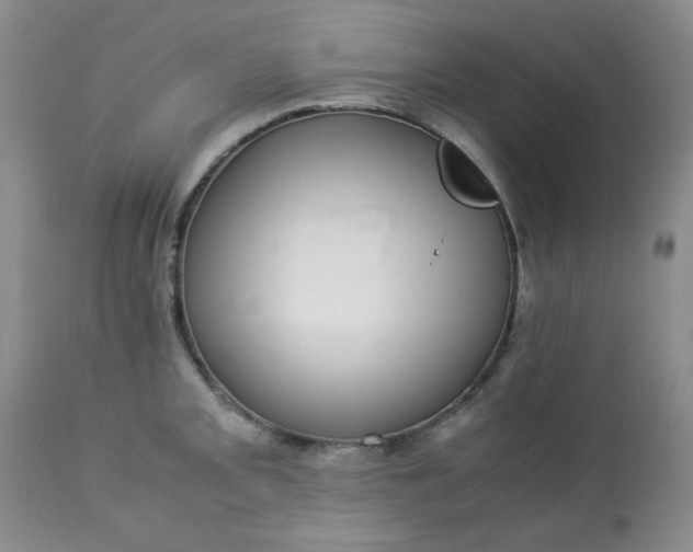 X0000113561093200910091409