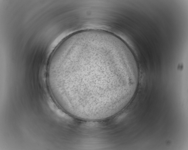 X0000113561094200910091409