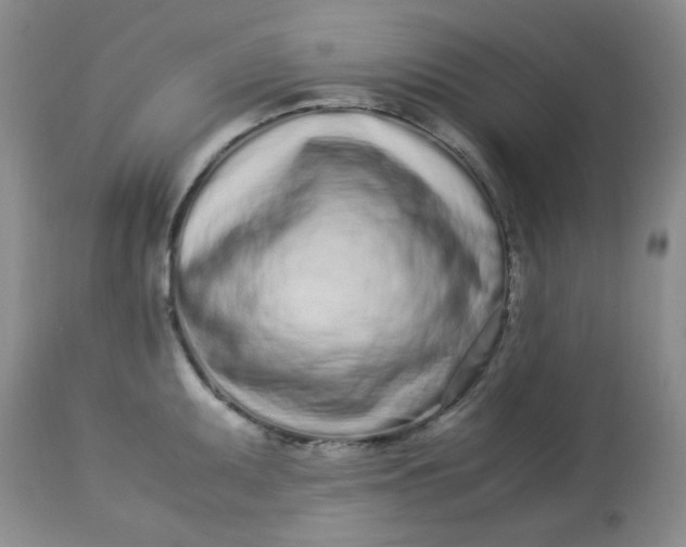 X0000113561095200910091409