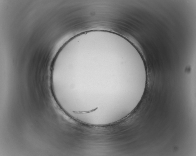 X0000113561096200910091409