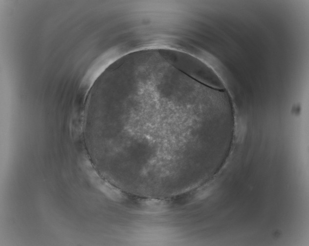 X0000113561097200910091409