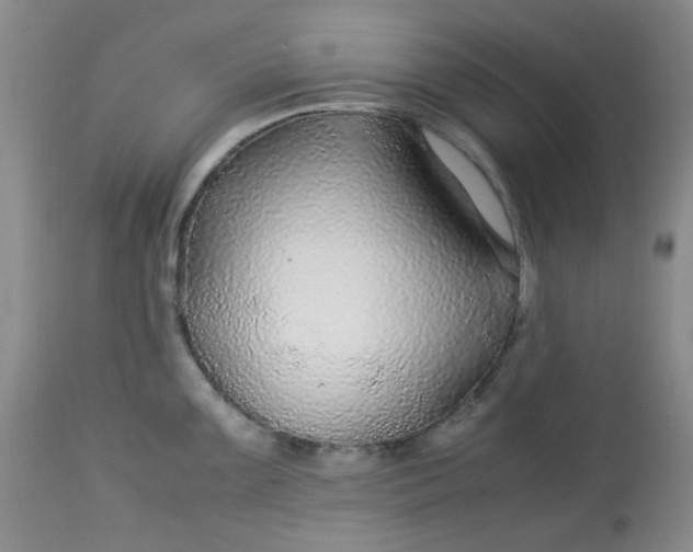 X0000113561099200910091409