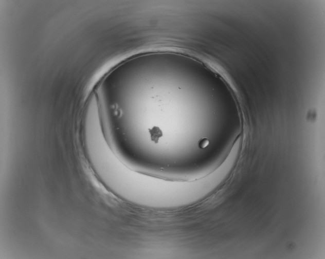 X0000113561101200910091409