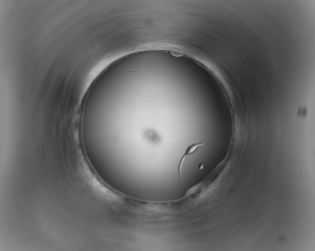 X0000113561102200910091409