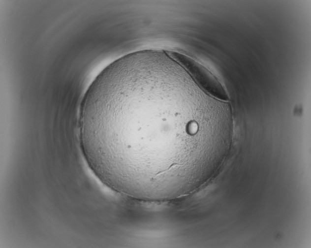 X0000113561103200910091409