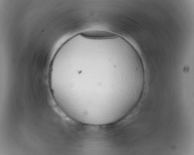 X0000113561104200910091409