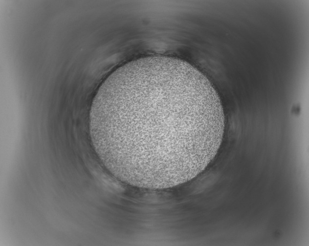 X0000113561105200910091408