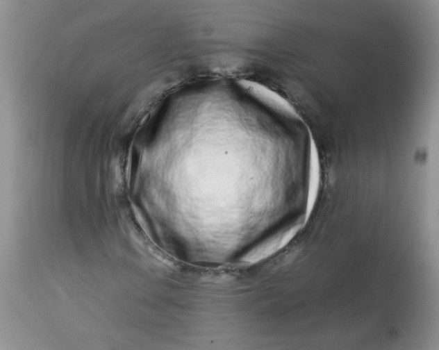 X0000113561106200910091408