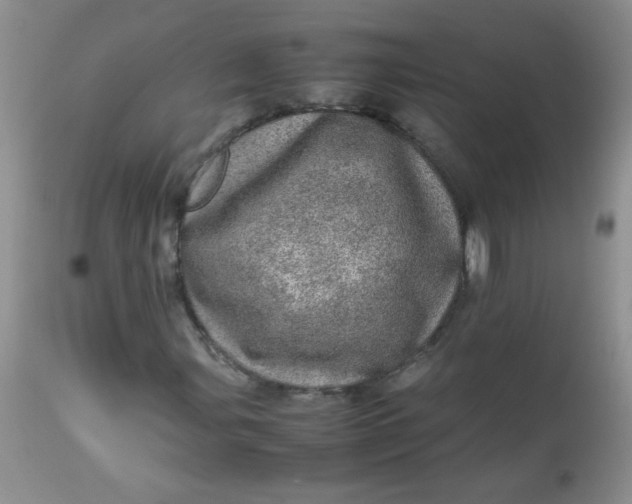 X0000113561107200910091408